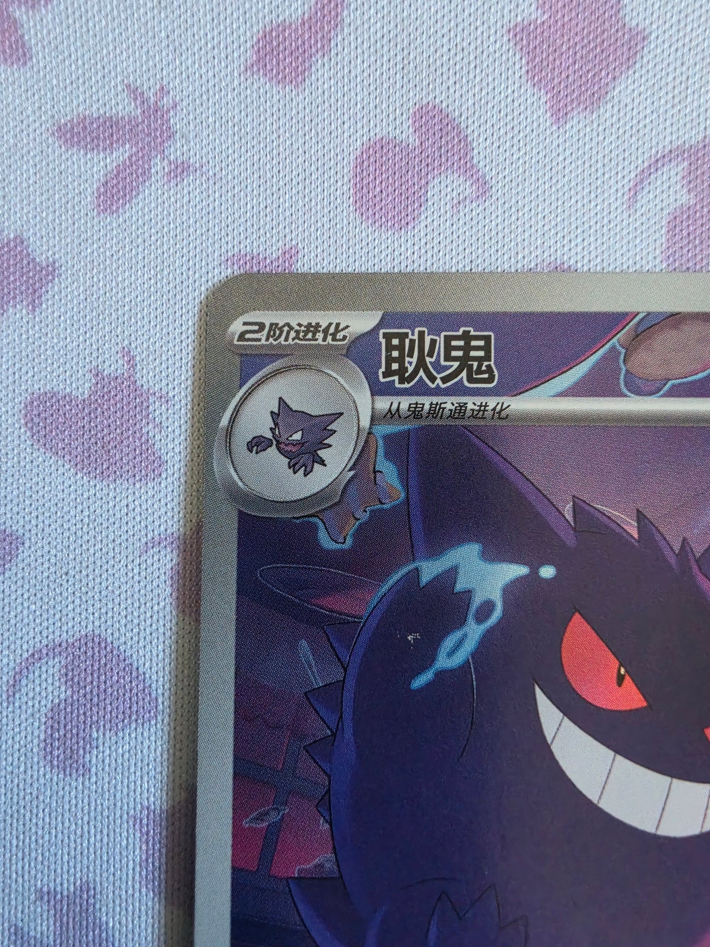 Gengar #307 | Simplified Chinese | Raw Lightly Played