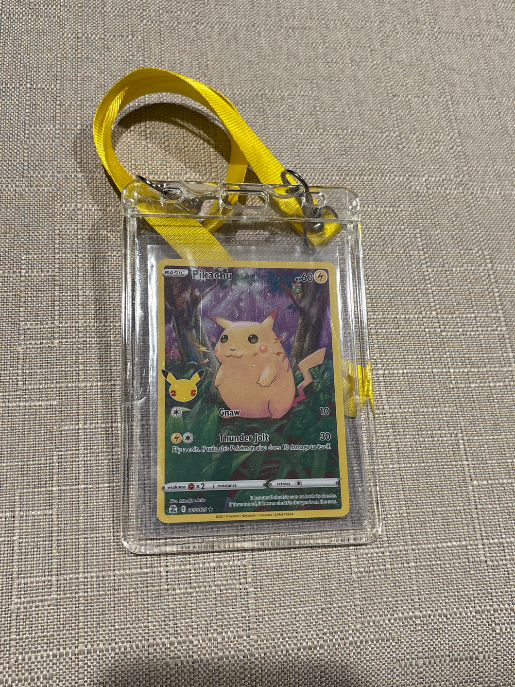 Lanyard