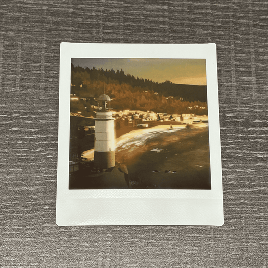 Arcadia Bay Coast Instant Photo