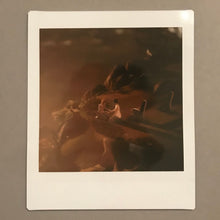 Load image into Gallery viewer, Max &amp; Chloe #1 Instant Photo

