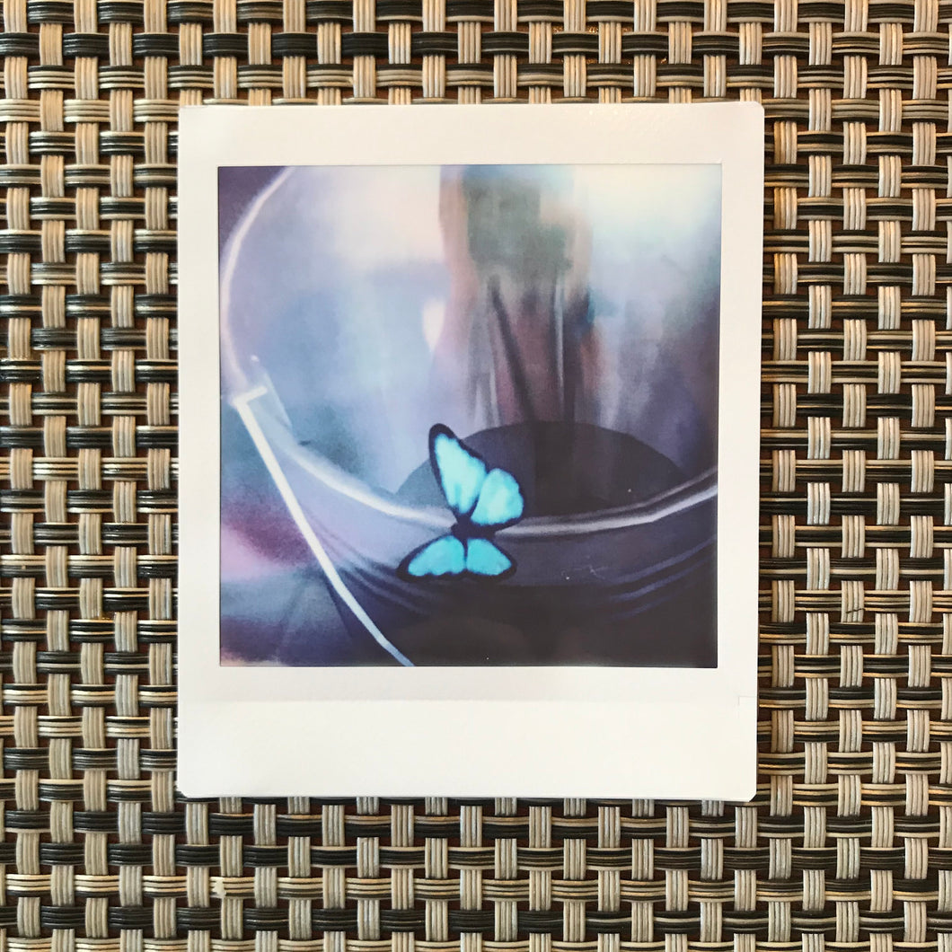 Max's Blue Butterfly Instant Photo